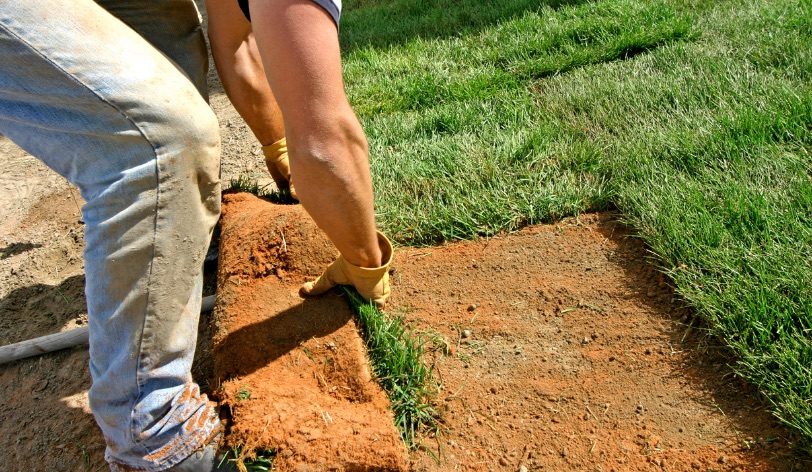 Best Ways to market your landscaping business