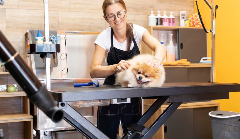 How To Make A Pet Groomer Website